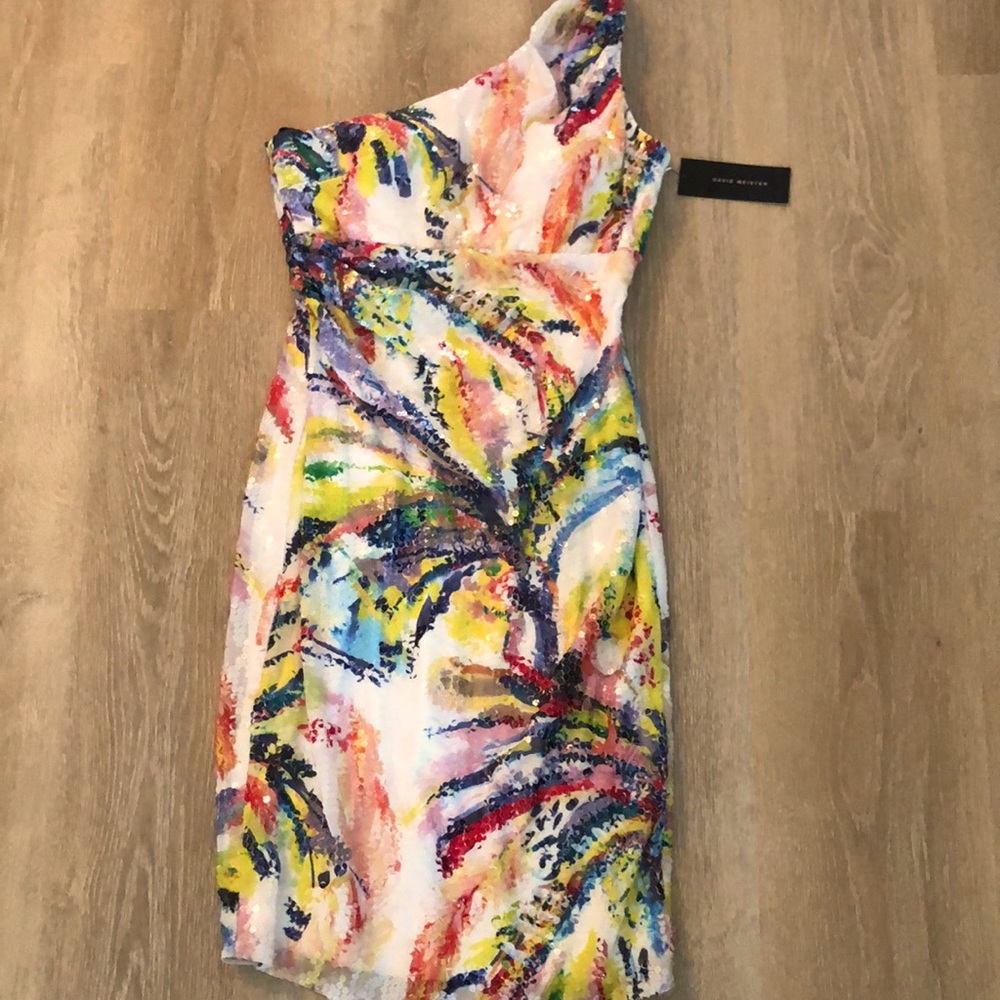 DAVID MEISTER SEMI-FORMAL dress
